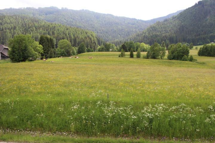 Gnesau 26 Apartment Екстериор снимка